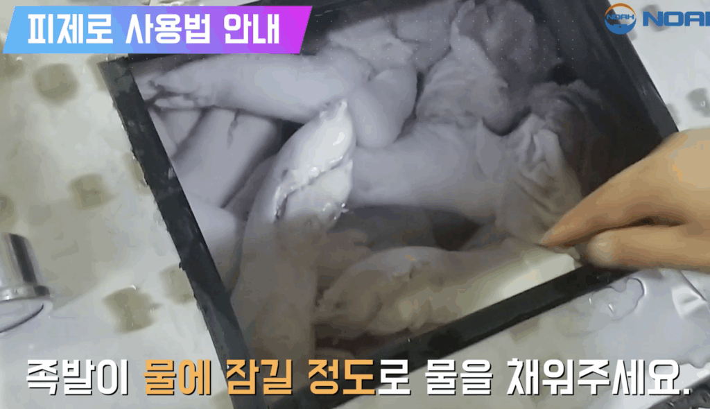 노아제혈기_사용방법1