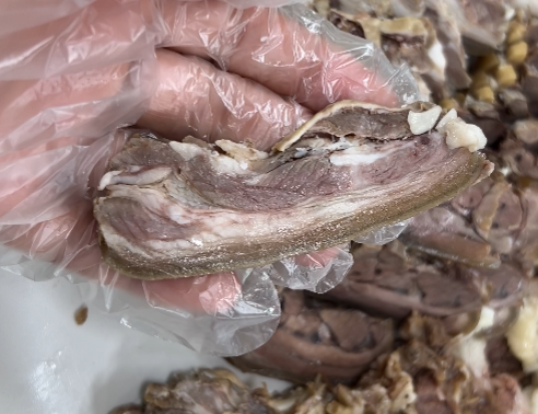 이지슬라이서로 세절한 염소고기 두께 사진